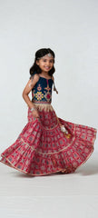 Navy and Red Embroidered Lengha Choli